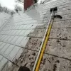 Roofs Need To Be Cleaned Too!
